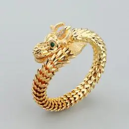 cartier bracelets s_11a3576